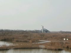 -盐城丹顶鹤湿地生态旅游区