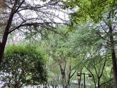 -范蠡湖公园