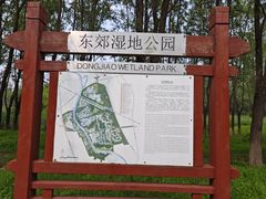 -东郊湿地公园
