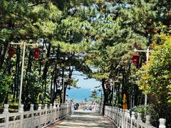-林海公园