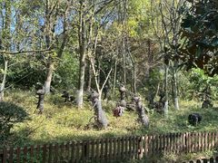 -天目湖山水园
