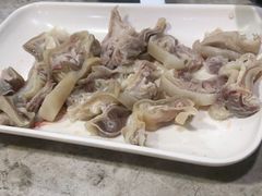 -东山羊庄(八卦岭店)