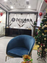 -DEM缔怡美科技美容
