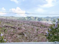 -河口景区