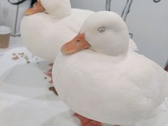 -白夜2D咖啡馆