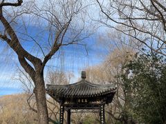 -北京艺术博物馆(万寿寺)