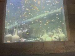 -新加坡水上探险乐园