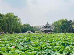 -莲池书院博物馆