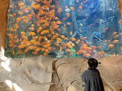 -杭州开元森泊度假乐园