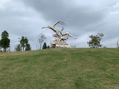-广富林郊野公园