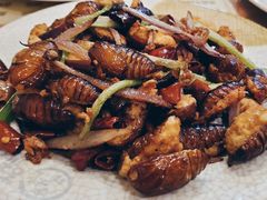 -吉味馆(柠溪店)