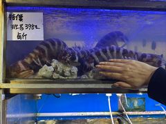 -富来美食(成发大厦店)