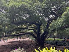 -晓港公园