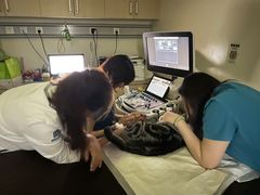 -美联众合动物医院·24h转诊中心