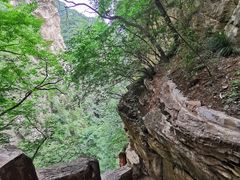 -北京上方山国家森林公园