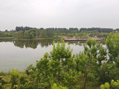 -东郊湿地公园
