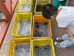 -丁香湖公园