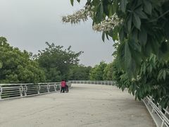 -南京眼步行桥