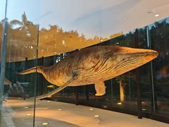 -寒舍蒸鲜(四海马术庄园店)