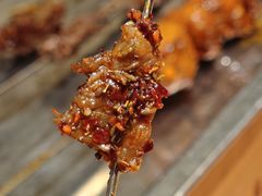 -福苗小骆驼烧烤(莲湖路店)