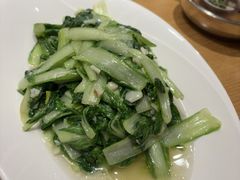 -海派美食·家宴海鲜青岛菜·石锅鲽鱼头(东方城店)