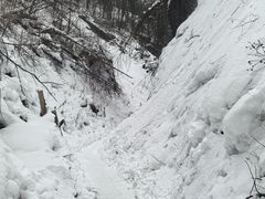 -峡谷浮石林景区