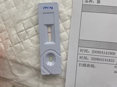 -心仪动物医院·牙专科·肿瘤·心脏科(西客站院)