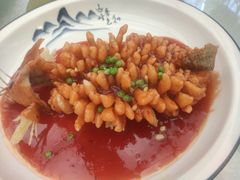 -丁老爷子苏香圆