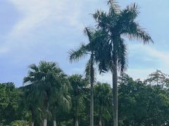 -东莞植物园
