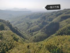 -蜀南竹海景区