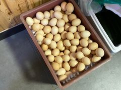-李东农庄(中南百草园地标店)
