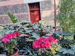 -上海孙中山故居纪念馆