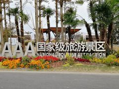 -上海长兴岛郊野公园