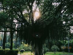-冯子材故居