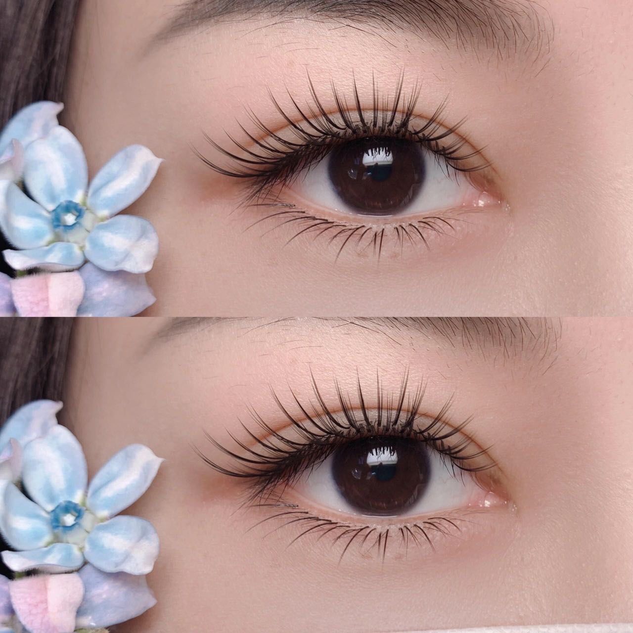 双层太阳花美睫