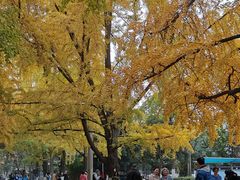 -四川大学(华西校区)