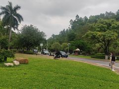 -三水森林公园