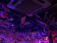 -周庄红庭演艺酒吧