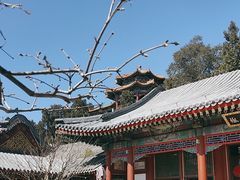 -宫事颐庭·老佛爷贵寿下午茶(颐和园店)