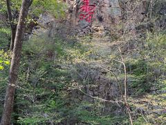 -本溪汤沟绿石谷森林公园