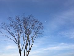 -轻井泽王子购物广场