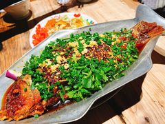-树厨贵州菜(大十字店)