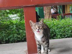 -天津妈祖文化园