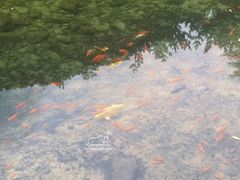 -无染寺