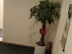 -悦享采耳·洗头头疗·推拿SPA(海沧万科旗舰店)
