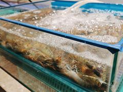-丰卓会海鲜自助(中润大道店)