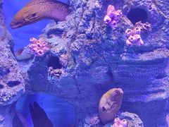 -广州海洋馆