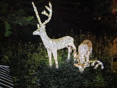 -森波拉火山温泉