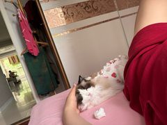 -初心动物医院