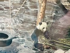 -济南野生动物世界